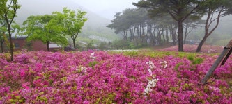 경북 영천 보현산. 댐수변 둘레길(2026. 05. 03). - 2022년 산행 - 산이 너무 좋아 경북 영천 보현산. 댐수변 둘레길(2026. 05. 03).