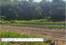충남 당진시 귀촌영농지경매.정미면 매방리 전 1406평 4차경매(23... 당진시 귀촌영농지경매.정미면 매방리 전 1406평 4차경매(23-54905)828