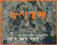 충남 당진시 귀촌영농지경매.정미면 매방리 전 1406평 4차경매(23... 당진시 귀촌영농지경매.정미면 매방리 전 1406평 4차경매(23-54905)828