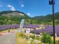 2825년 6/24 ~6/25 - 나의사업 나의얘기 - 영월촌놈의 김치사랑 2825년 6/24 ~6/25