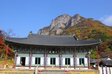 장성 백암산 백양사 추경(1) - -───♣멋진풍경사진 - 아름다운황혼열차(黃昏列車) 장성 백암산 백양사 추경(1)