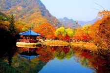 정읍 내장사 곱게물든 당풍(2) - -───♣멋진풍경사진 - 아름다운황혼열차(黃昏列車) 정읍 내장사 곱게물든 당풍(2)