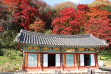 장성 백암산 백양사 추경(2) - -───♣멋진풍경사진 - 아름다운황혼열차(黃昏列車) 장성 백암산 백양사 추경(2)