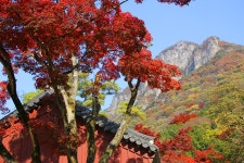 장성 백암산 백양사 추경(2) - -───♣멋진풍경사진 - 아름다운황혼열차(黃昏列車) 장성 백암산 백양사 추경(2)