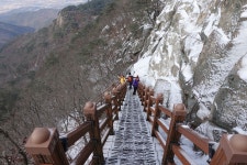 갑장산 806m [상주] 23.12.24 - ◎ 산행 사진 - 금강부산산악회 갑장산 806m [상주] 23.12.24