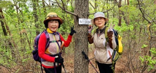 팔봉산 서산2023년4월23일 - ◎ 산행 사진 - 금강부산산악회 팔봉산 서산2023년4월23일