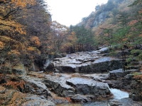 평창-오대산, 노인봉 (진고개-노인봉-소금강-주차장) - ◎ 산행후기... 금강부산산악회 평창-오대산, 노인봉 (진고개-노인봉-소금강-주차장)