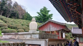 사천-봉명산(다솔사-봉명산-보안암-물명산-깨사리고개-북천역)... 사천-봉명산(다솔사-봉명산-보안암-물명산-깨사리고개-북천역)