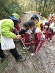 다경어린이집(20.10.13) - 두드림유아숲체험원 - 춘천국유림관리소 숲체험원(산림복지) 다경어린이집(20.10.13)