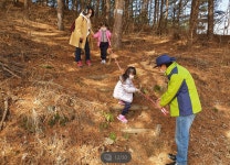 딴산숲체험장 첫 숲체험프로그램 시작-풍산초병설유치원(21.03.16)... 딴산숲체험장 첫 숲체험프로그램 시작-풍산초병설유치원(21.03.16)