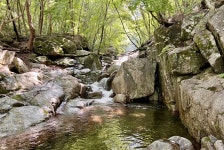 제206차 라푸마산악회 하계 야유회 안내(22년 8윌 7일, 일요일) - ◈── 정기산행신청방 - 광양 라푸마 산악회 제206차 라푸마산악회 하계... 