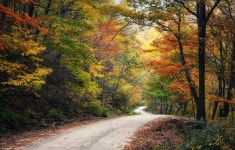 제208차 지리산 회남재 숲길 걷기(22년 11월 6일, 일요일)... 광양 라푸마 산악회 제208차 지리산 회남재 숲길 걷기(22년 11월 6일, 일요일)
