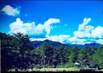MASTERCHA님의 강원도 오지감성 팜핑장 하늘내린터 - ♥하늘내린터 추억후기방♥  - 하늘내린터 자연생태 팜핑캠프 MASTERCHA님의 강원도... 