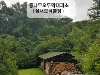 하늘내린터의 통나무오두막 쉘터 대피소 원두막들 이용하기 - ♡하늘내린터 이야기♡ - 하늘내린터 자연생태 팜핑캠프 하늘내린터의... 