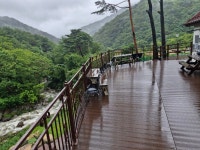 하늘내린터에 비오는날은 공치는날 - ♣원장 동정,자연사랑 칼럼 - 하늘내린터 자연생태 팜핑캠프 하늘내린터에 비오는날은 공치는날