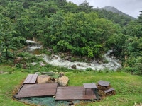 하늘내린터에 비오는날은 공치는날 - ♣원장 동정,자연사랑 칼럼 - 하늘내린터 자연생태 팜핑캠프 하늘내린터에 비오는날은 공치는날