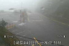 하늘내린터에 비오는날은 공치는날 - ♣원장 동정,자연사랑 칼럼 - 하늘내린터 자연생태 팜핑캠프 하늘내린터에 비오는날은 공치는날