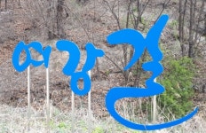 여주 여강길 5코스 황학산길 - 자유게시판 - 경기도 평화누리길 여주 여강길 5코스 황학산길