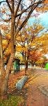 관리소장실에서 - ◈.....회원♡사진방 - 이면구카페 오신것 환영합니다!! 관리소장실에서