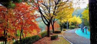 관리소장실에서 - ◈.....회원♡사진방 - 이면구카페 오신것 환영합니다!! 관리소장실에서