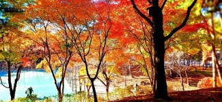 관리소장실에서 - ◈.....회원♡사진방 - 이면구카페 오신것 환영합니다!! 관리소장실에서
