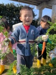 으쨔 힘을 모아 무와 당근을 뽑아요! 👩🌾 - ♡2020~2024 추억속으로~♡ - 영주 봉산어린이집 으쨔 으쨔 힘을 모아 무와 당근을 뽑아요! 👩‍🌾