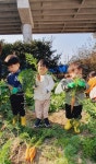 으쨔 힘을 모아 무와 당근을 뽑아요! 👩🌾 - ♡2020~2024 추억속으로~♡ - 영주 봉산어린이집 으쨔 으쨔 힘을 모아 무와 당근을 뽑아요! 👩‍🌾