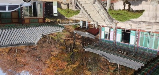 선본사 - 카페 앨범 - 서아할배 꿀벌농장 선본사