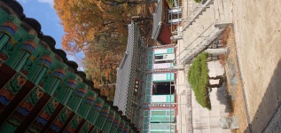 선본사 - 카페 앨범 - 서아할배 꿀벌농장 선본사