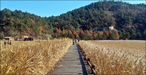 2022년 충주숲 심화학습(순천만습지) - 산행 · 탐방사진 - (사)충주숲 (사)충주숲