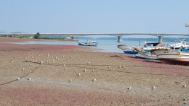 2023년 6월 25일 (맑음) 강화 황산도 항 - 사생후기 - 한국야외수채화가회 2023년 6월 25일 (맑음) 강화 황산도 항