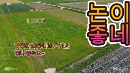 - 우리들의 이야기 - 함평터미널부동산 공인중개사사무소 【함평답매매】함평군 대동면 금곡리 답 매매합니다.