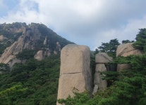 2026.06.02 정기산행(도봉산, 서울/도봉) - ♠ 정기산행 - 강릉 한마음산악회 2026.06.02 정기산행(도봉산, 서울/도봉)