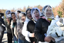 11/2 초곡위령미사 - 성조들의 모후 Cu. - 대구대교구 문덕 성당 대구대교구 문덕 성당
