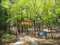 제152회 정기산행(봉명산, 이명산) - **정기산행 예약방** - 익산여명산악회 익산여명산악회