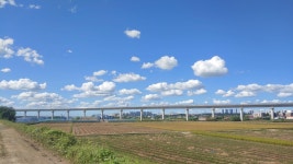 문득 주위가 이상하고 낯선 느낌 - 내 삶과 이야기 - 생존21 - 지진,재난,전염병,전쟁,사고로부터의 생존 문득 주위가 이상하고 낯선 느낌