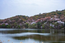 희원 호수 - ――······· 자연풍경 사진 - 너에게 편지를 희원 호수