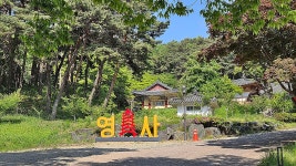6월7일/제308차 정기산행/동서트레일 7구간(삼웅2리마을회관~서산마애여래삼존상)/충남당진 - 정기산행 안내 - k2백유회 k2백유회