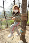 숲체험 (개나리팀) - 진솔반 - 충주해솔유치원 숲체험 (개나리팀)