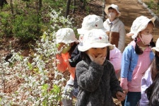 숲체험 (개나리팀) - 진솔반 - 충주해솔유치원 숲체험 (개나리팀)