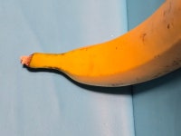 바나나드로잉 즐기다 - 수요수채화연필드로잉,그룹와10:00~13;00청담성당외 - www.park3.com 바나나드로잉 즐기다