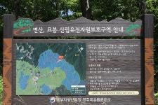 낙동정맥 석개재 솔나리와 이웃들 - 안천(조각환)님 - 대구광역시 행정동우회 낙동정맥 석개재 솔나리와 이웃들