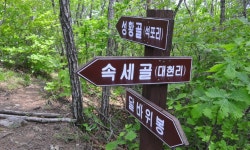 2026년5월10일 경북봉화 달바위봉(월암봉) 정기산행 공지 - 🟠... 같이하는 산우회 2026년5월10일 경북봉화 달바위봉(월암봉) 정기산행 공지
