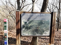 상주-갑장산 (용흥사주차장~상산~갑장사~정상~석문~용흥사) - ◎ 산행후기-051)632-8848 - 금강부산산악회 상주-갑장산 (용흥사주차장~상산... 