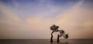 복(福) -교훈글 - [이의선]의 좋은 낭독 - 지구촌 영상문학 Cafe 복(福) -교훈글