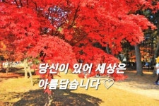 당신이 있어 세상은 아름답습니다.  - 색즉시공 - 지구촌 영상문학 Cafe 당신이 있어 세상은 아름답습니다. 