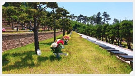 평택수목장 자세히 알아보기 - 서울경기 사고팔고 - 요즘+만남.취미.건강.정보.경제.정치.문학.연예.세상이야기 평택수목장 자세히 알아보기