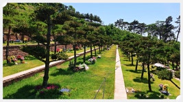 평택수목장 자세히 알아보기 - 서울경기 사고팔고 - 요즘+만남.취미.건강.정보.경제.정치.문학.연예.세상이야기 평택수목장 자세히 알아보기