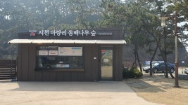 가보고 싶은곳, 마량리 동백나무숲 - 정정숙 - 의왕시 시니어기자단 가보고 싶은곳, 마량리 동백나무숲