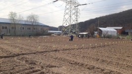 행복가꿈 주말농장 - 류제월 - 의왕시 시니어기자단 행복가꿈 주말농장